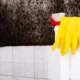 mold removal