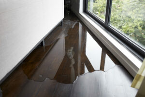 Water Damage Restoration