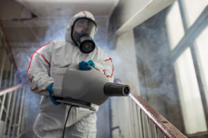 mold removal