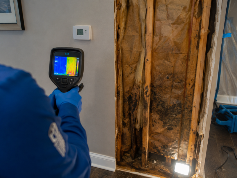 How Water Damage Spreads Through Your Home – And What Professional Restoration Actually Does to Stop It